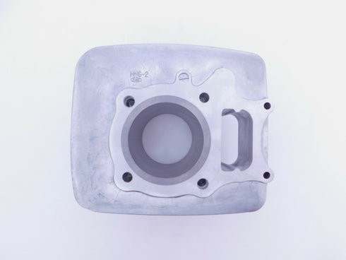 HONDA CYLINDER JUG 2001-2021 TRX250 EX X X1 TE TM OEM GENUINE NEW 12100-HN6-000