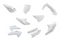 HUSQVARNA PLASTICS FENDER KIT WHITE 2025 TC 125 250 2025 FC 250 350 450 OEM