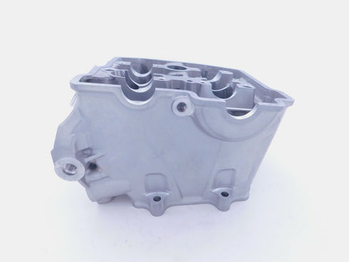 HONDA CYLINDER HEAD ASSEMBLY 2020-2021 CRF250R RX GENUINE OEM NEW 12010-K95-A60