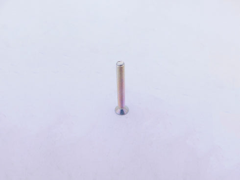 NEW OEM HONDA REAR BRAKE RESERVOIR CUP SCEW ATC 200X, 250R 350X TRX 250 300EX