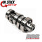 BBR HIGH PERFORMANCE CAMSHAFT HONDA 2013-2024 CRF110F 411-HCF-1120