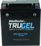 BikeMaster TruGel Battery - MG20CH-BS