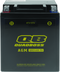 QuadBoss Maintenance-Free AGM Battery QBX14AH-FA