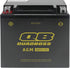QuadBoss Maintenance-Free AGM Battery QBX14-FA