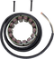 RICK'S MOTORSPORT ELECTRIC Stator - Ducati 21-031