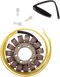 RICK'S MOTORSPORT ELECTRIC Stator - Honda 21-153