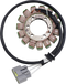 RICK'S MOTORSPORT ELECTRIC Stator - Kawasaki 21-243