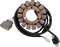 RICK'S MOTORSPORT ELECTRIC Stator - Yamaha 21-922