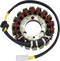 RICK'S MOTORSPORT ELECTRIC Stator - MV Agusta 21-034