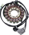 RICK'S MOTORSPORT ELECTRIC Stator - Triumph 21-036