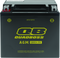 QuadBoss Maintenance-Free AGM Battery QBX14-FA