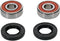 PIVOT WORKS Wheel Bearing Kit Premium - 22-51395P