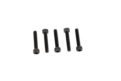 V-Twin Allen Cap Screw Black 10-24 x 1 inch - 73-0058