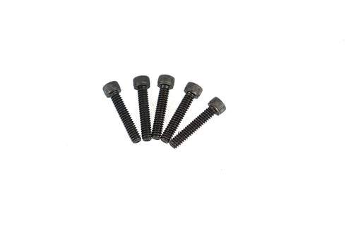 V-Twin Allen Cap Screw Black 10-24 x 1 inch - 73-0058