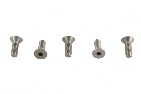 V-Twin Allen Flat Head Screws Stainless Steel - 73-0165