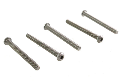 Colony Allen Button Head Screws Stainless Steel 1/4-20 X 2-1/2 inch - 73-0175