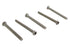 Colony Allen Button Head Screws Stainless Steel 1/4-20 X 2-1/2 inch - 73-0175