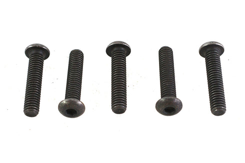 Colony Allen Button Head Screws Black 5/16-18 x 1-1/2 inch - 73-0181