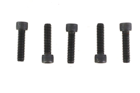 V-Twin 1/4 inch-20 x 1/2 inch Allen Socket Cap Screw Black - 73-0190