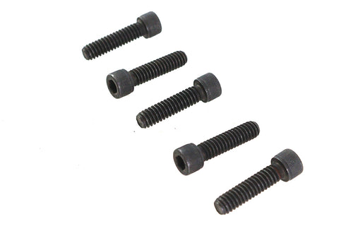 V-Twin 1/4 inch-20 X 1 inch Allen Socket Cap Screw Black - 73-0191