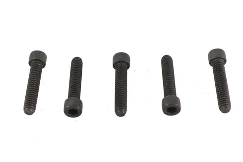 V-Twin 1/4 inch-20 x 1-1/4 inch Allen Socket Cap Screw Black - 73-0192
