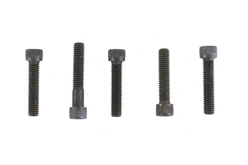 V-Twin 5/16 inch-18 x 1-3/4 inch Allen Socket Cap Screw Black - 73-0199