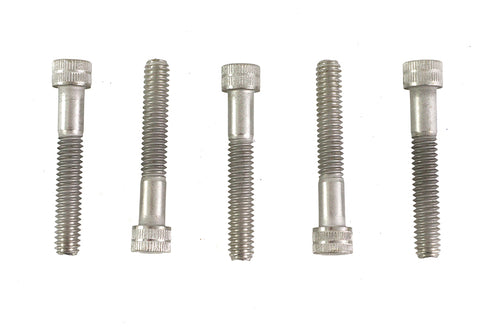 V-Twin 1/4 inch-20 x 1-5/8 inch Allen Socket Cap Screw Stainless St - 73-0215