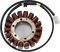 RICK'S MOTORSPORT ELECTRIC Stator - Honda 21-159