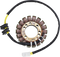 RICK'S MOTORSPORT ELECTRIC OE Style Stator - Honda 21-161