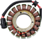 RICK'S MOTORSPORT ELECTRIC Stator - Kawasaki 21-220