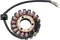 RICK'S MOTORSPORT ELECTRIC Stator - Kawasaki 21-223