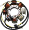 RICK'S MOTORSPORT ELECTRIC Hot Shot Stator - Honda 21-639H