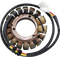 RICK'S MOTORSPORT ELECTRIC Stator - Kawasaki 21-727