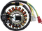 RICK'S MOTORSPORT ELECTRIC Stator - Suzuki 21-826