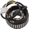 RICK'S MOTORSPORT ELECTRIC Stator - Honda 21-156