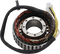 RICK'S MOTORSPORT ELECTRIC Stator - Honda 21-157