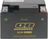 QuadBoss Maintenance-Free AGM Battery QBX4L-FA