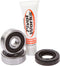 PIVOT WORKS Rear Wheel Bearing Kit - 52-0575