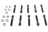 Colony Cylinder Head Bolt Set 12 Point Black - 8618-20