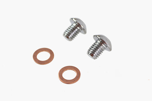 Colony 41mm Fork Slider Drain Screw - 9758-2