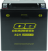 QuadBoss Maintenance-Free AGM Battery QBX20CH-FA