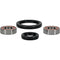 PIVOT WORKS Wheel Bearing Kit Premium - 22-51051P