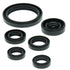 QuadBoss 04-13 Yamaha YFZ450 Oil Seal Set