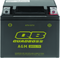 QuadBoss Maintenance-Free AGM Battery QBX5L-FA