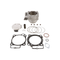 CYLINDER WORKS Cylinder Kit 96.00/Std 13.5:1 Hon - 422-10010K2