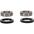 PIVOT WORKS Wheel Bearing Kit Premium - 22-51273P