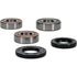 PIVOT WORKS Wheel Bearing Kit Premium - 22-51066P