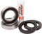 PIVOT WORKS Rear Wheel Bearing Kit - 52-0579