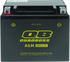 QuadBoss Maintenance-Free AGM Battery QBX12-FA