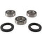 PIVOT WORKS Rear Wheel Bearing Kit - 52-0559